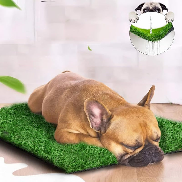 Click to open expanded view VIDEO 4+ innovative edge High Density Artificial Grass Carpet Mat for Balcony, Lawn, Door Green with 4 Layer Protection